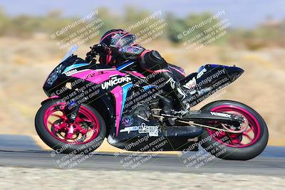 media/Feb-13-2022-SoCal Trackdays (Sun) [[c9210d39ca]]/Turn 16 (145pm)/